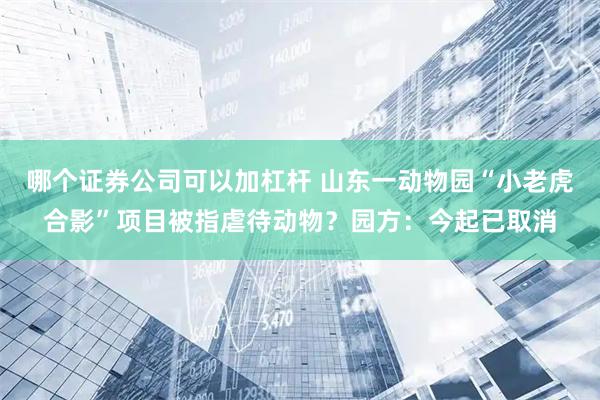 哪个证券公司可以加杠杆 山东一动物园“小老虎合影”项目被指虐待动物？园方：今起已取消