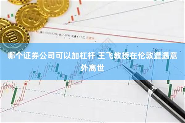 哪个证券公司可以加杠杆 王飞教授在伦敦遭遇意外离世
